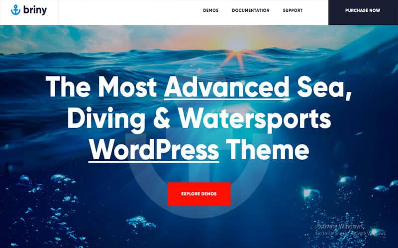 Sports WordPress Theme