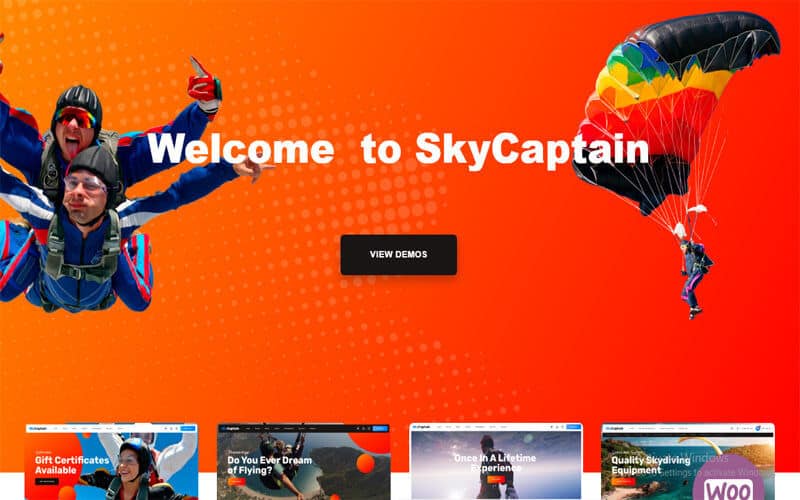 SkyCaptain