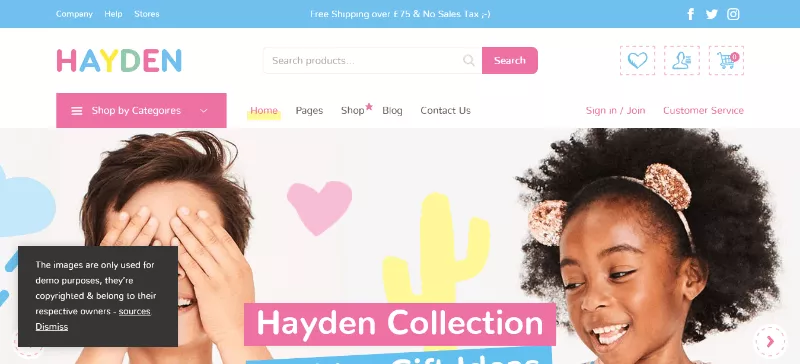 Hayden: A Perfect WordPress Theme for Toy Enthusiasts