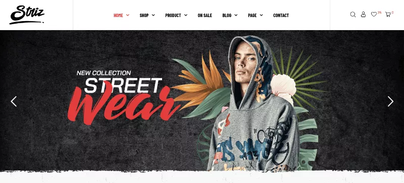 Striz: Lookbook Web Design Template