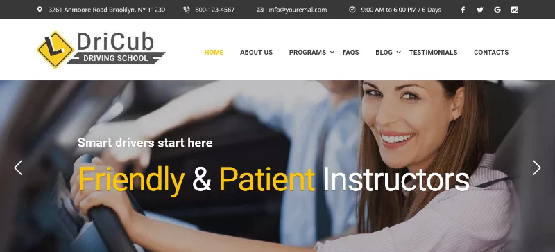 DriCub: A Minimal Car Instructor Website Template