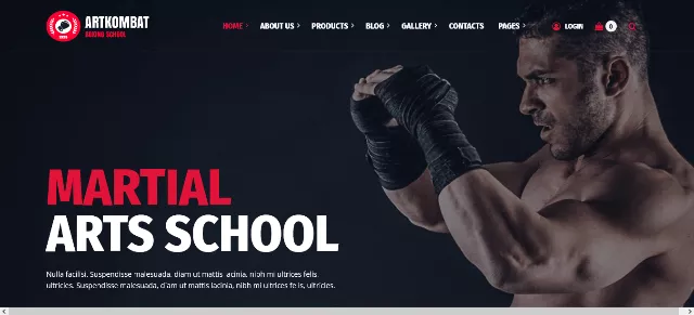 ArtKombat Clean Judo Website Template