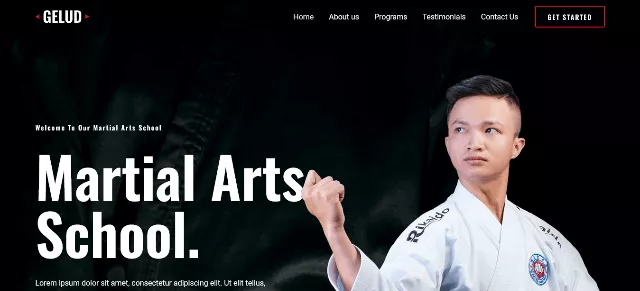 Astra: The Renowned Martial Arts WordPress Theme