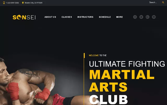 Sensei Solid Martial Arts WordPress Template