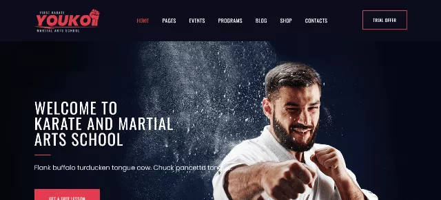 Claw: Multi-Functional Karate Website Theme