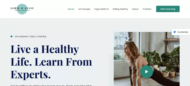 Astra: Among the Finest Coaching WordPress Themes