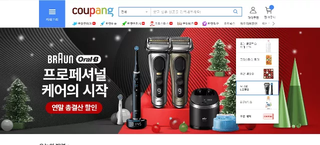 Coupang: An Example of an Online Store