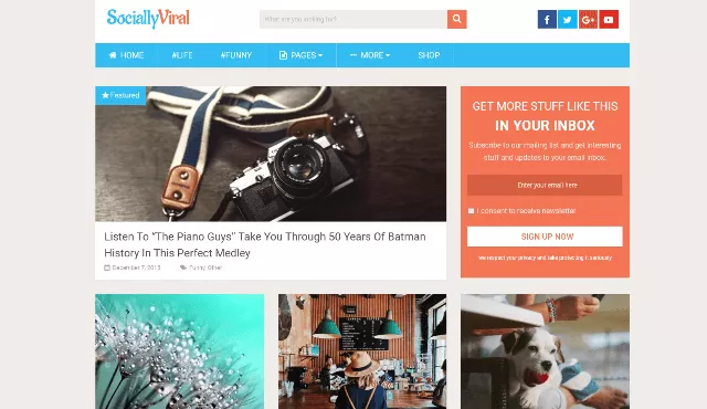 SociallyViral: Highly Sought-After Newspaper Theme for WordPress