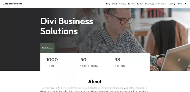 Divi: an Exclusive Business Website Template