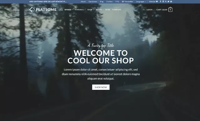 Flatsome: An Ideal WP Theme for Bike Rental Applications