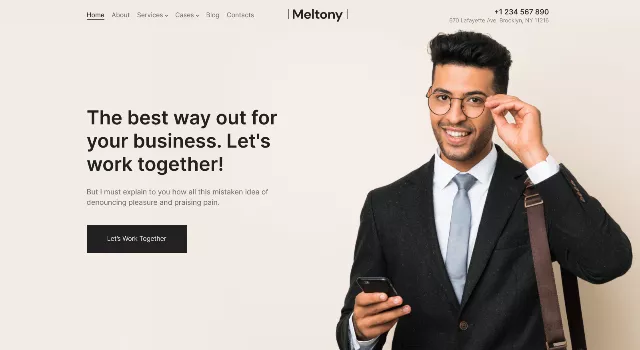 Meltony: a Creative Commercial Website Theme