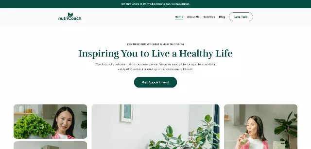 Zakra: a Freebie Home Care WordPress Theme