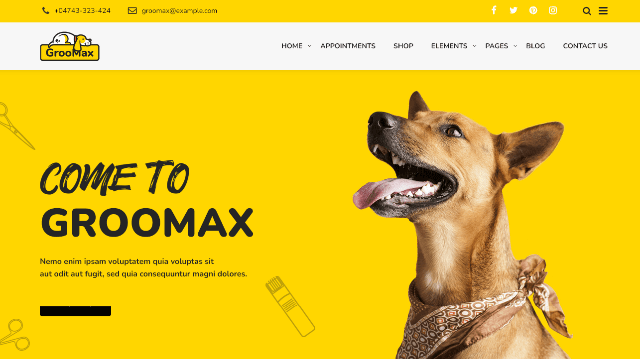Groomax – Best Animal Wellness WordPress Design