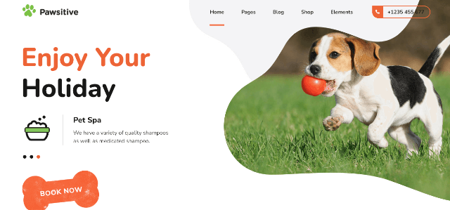 Pawsitive – Animal care website design with pet care and shop features