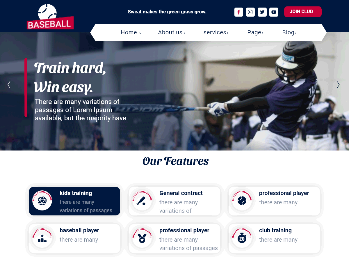 Baseball Club WordPress theme showing team stats and galleries