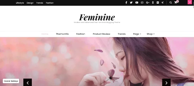 Blossom Feminine free WordPress blog theme with soft pink design and newsletter section