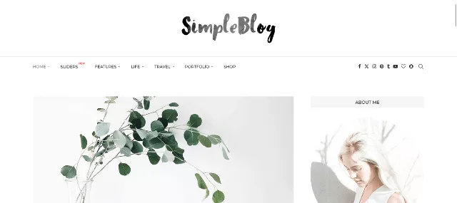 Soledad multipurpose blog and magazine WordPress theme with feminine fashion layout