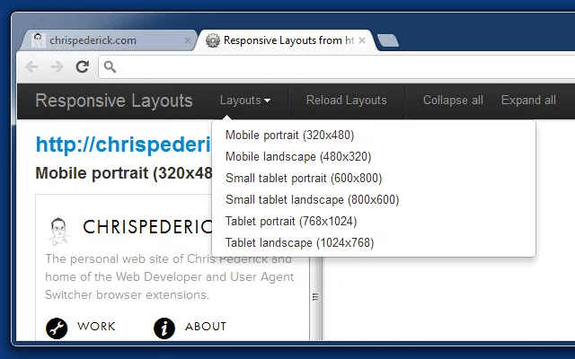 Web Developer Chrome extension toolbar menu with CSS, forms, images and outline options