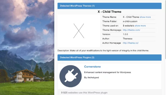 WordPress Theme Detector and Plugin Detector Chrome extension showing the detected theme and plugin list