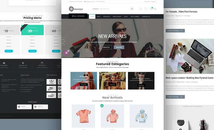 WordPress eCommerce theme