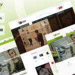 WordPress WooCommerce Theme